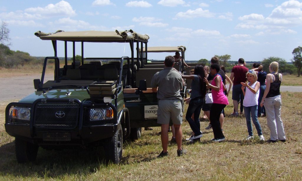 Team Building in the bush